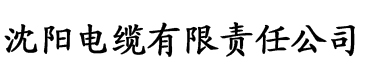 亚洲一区2区三区电缆厂logo